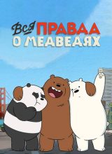Вся правда о медведях