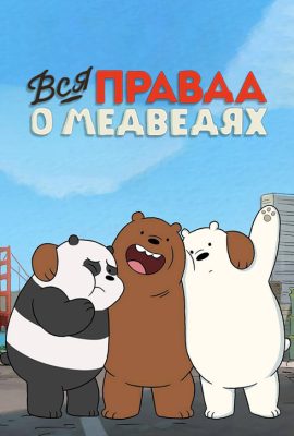 Вся правда о медведях